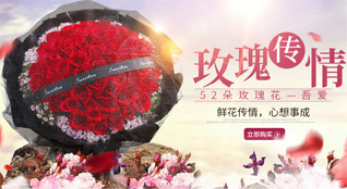 辽宁大连普兰店区鲜花速递